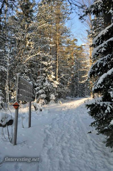 Signposts in Nuuksio 