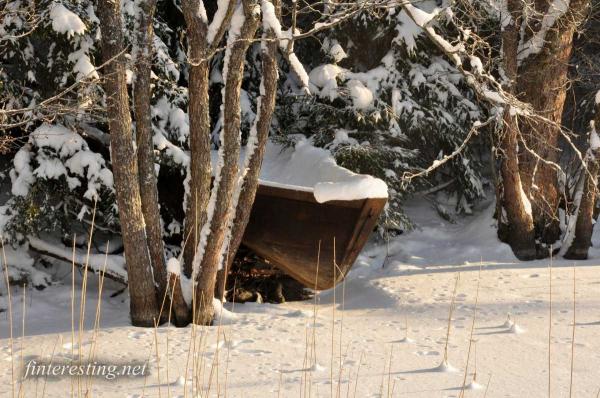 Snowy lake 