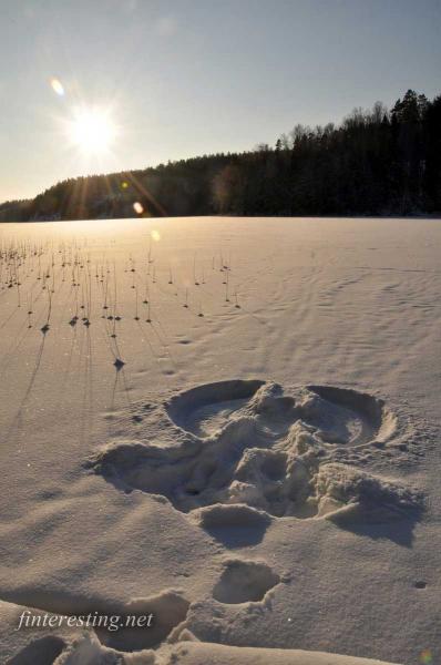 Snow angel 