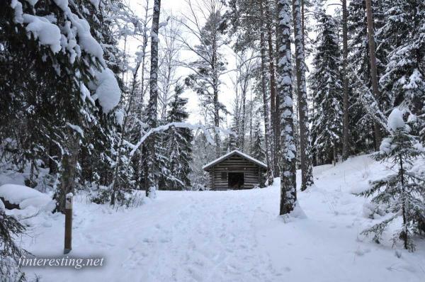 Firewood hut 